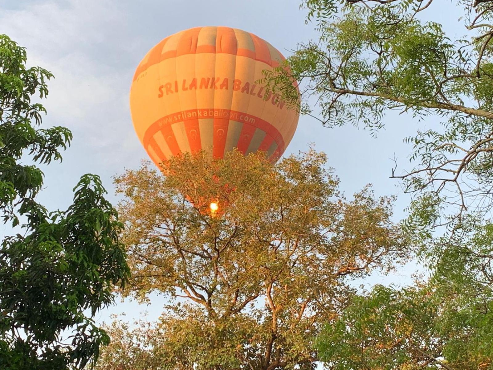 Eden Grand Hotel Dambulla Bagian luar foto